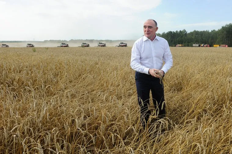 Дубровский и пшеница Челябинск, поле, пшеница, урожай, дубровский борис