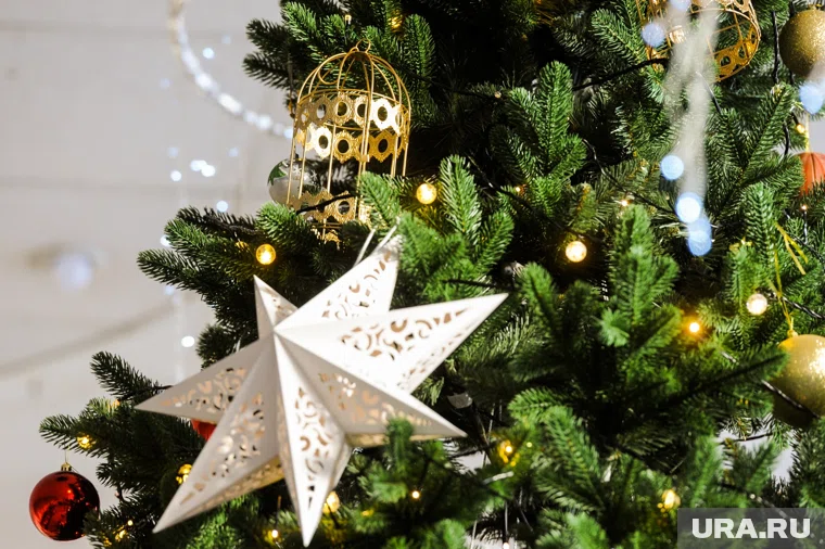 В Тюмени начали готовиться к Новому году