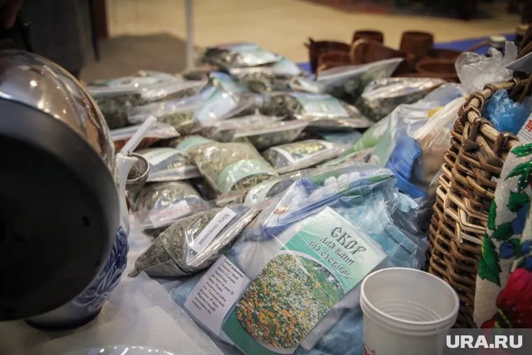 Госдума РФ планирует принять законопроект об уголовном наказании за сбор краснокнижных грибов и растений