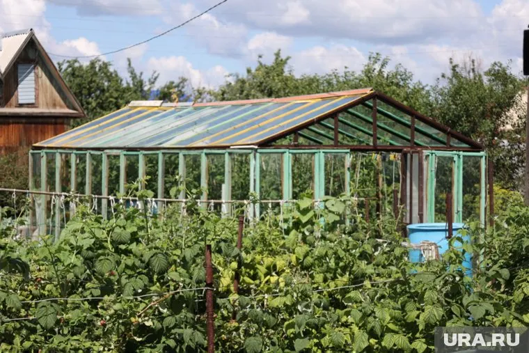 Садоводство оказалось на землях лесного фонда ЯНАО