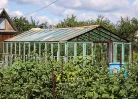 Пенсионерам не дают приватизировать участки в Ноябрьске