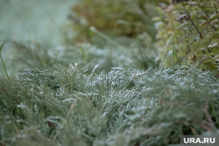 Приметы на 9 декабря: что нельзя делать в Юрьев день, чтобы не лишиться удачи