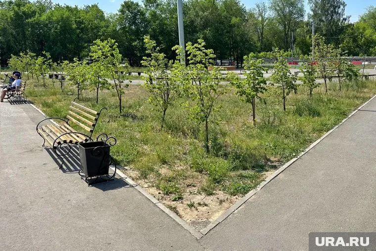 В Новом Уренгое облагородят территорию вокруг больницы