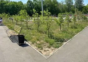 В Новом Уренгое появятся новые тротуары и широкая парковка возле горбольницы