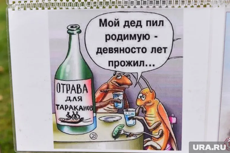 В "Метрополисе" по ул. Черняховского покупатель увидел таракана