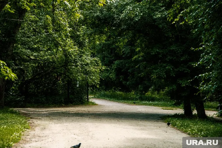 Мужчина нападает на детей в парке