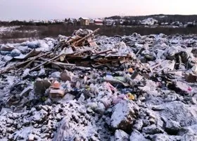 Мертвых телят, свиней и головы коров снова вывезли в курганский лес