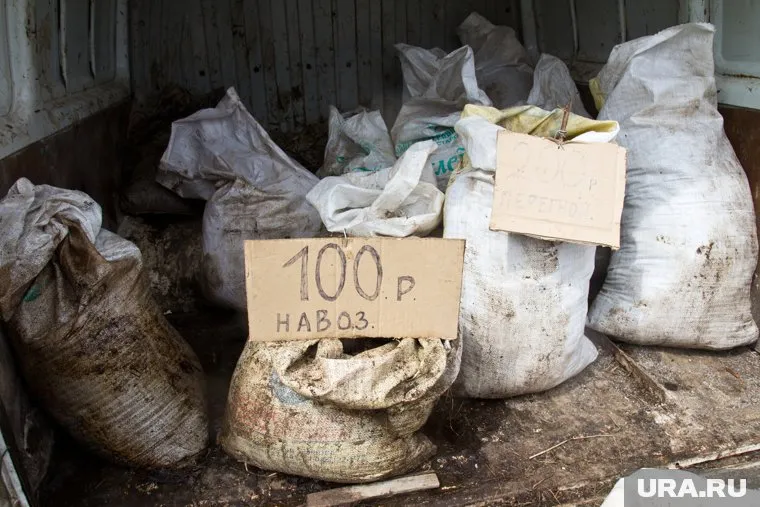 У украинского оператора газотранспортной системы большие перспективы в выработке газа