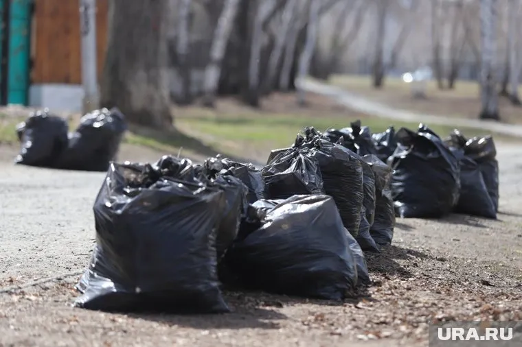 Хозяева вынесли из комнаты 250 мешков мусора (архивное фото)