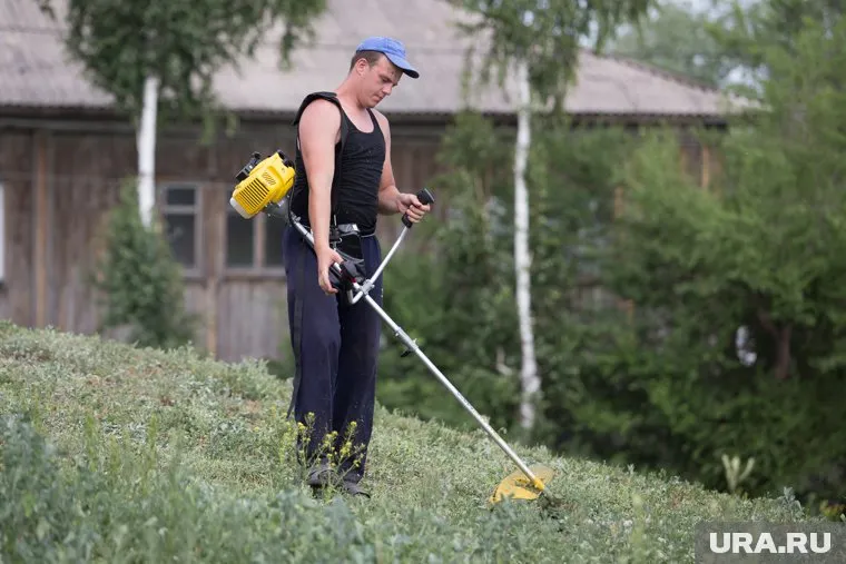 Чиновники готовы лишать граждан земельных участков из-за нескошенной травы