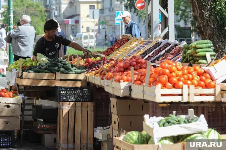 Из-за правовой коллизии шанс безнаказанно заработать есть у каждого