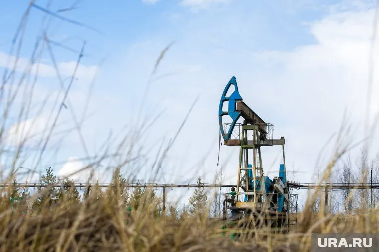 Природные территории пострадают при добыче нефти