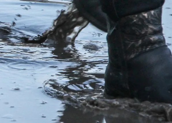 Фотография из галереи