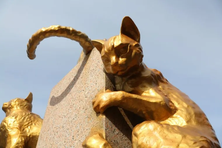 Сквер сибирских кошек. Тюмень