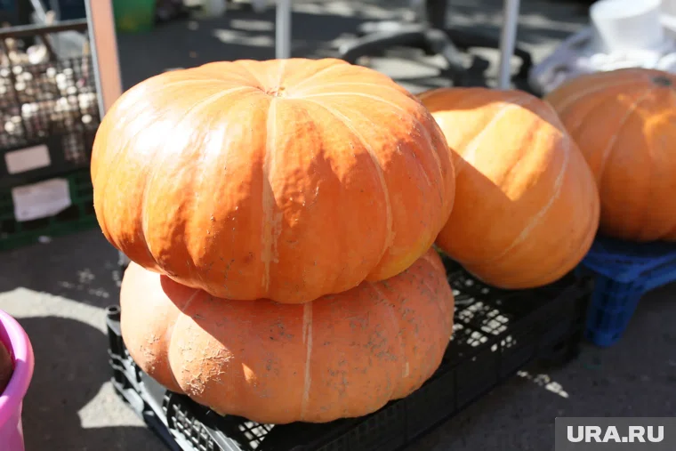 Не бойтесь слухов — правда часто оказывается страшнее