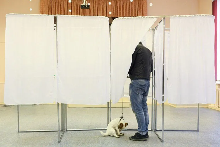 Пес на избирательном участке. Екатеринбург