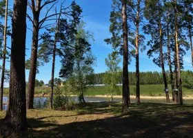 Курганцам грозят штрафы за посещение леса