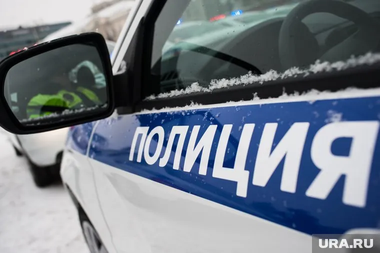 По факту драки возбудили два уголовных дела