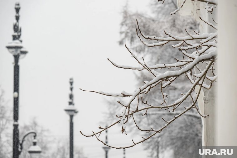 Какие праздники отмечают 10 ноября 2025: что можно и нельзя делать