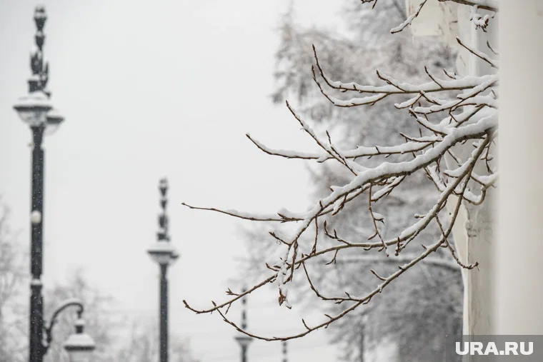 Что можно отметить 10 ноября 2025 года