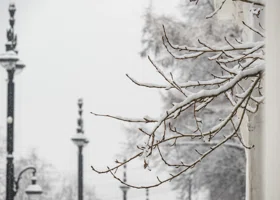 Какие праздники отмечают 10 ноября 2025: что можно и нельзя делать