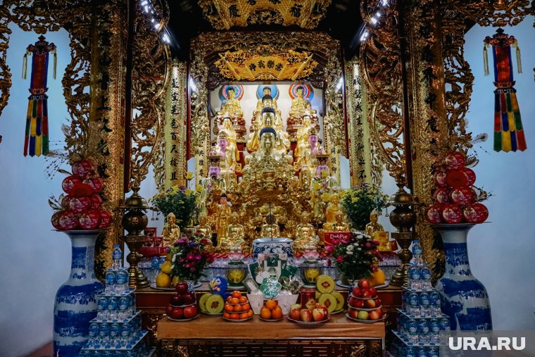 Айқайлайтын порно видеолар