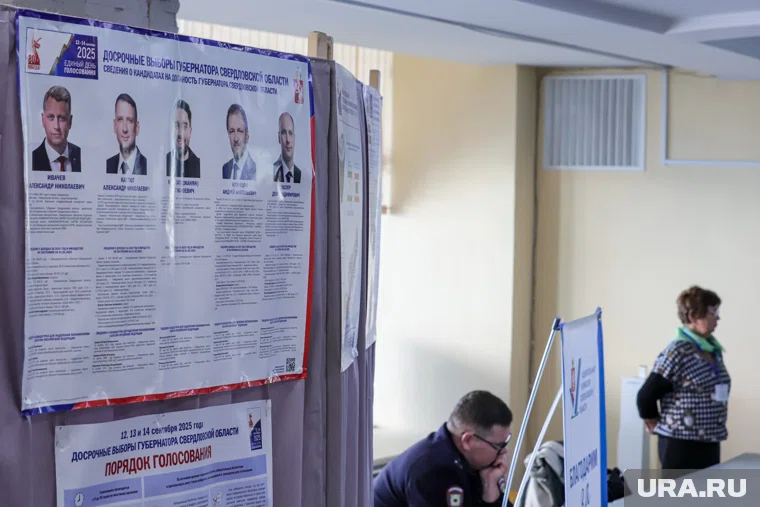 Молодожены пришли на выборы в свадебных нарядах