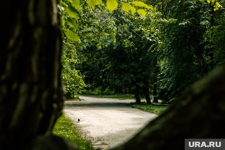 Мэр Пинаев остался недоволен уборкой в Парке победы (архивное фото)