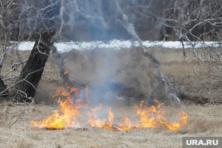 В области продолжают гореть камыш, сухая трава и леса