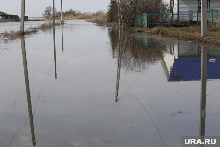 Большая вода скопилась в пойме у Коркино, отметил Александр Моор (архивное фото)