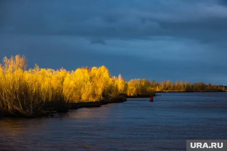 За два месяца в реках Югры утонули 11 человек