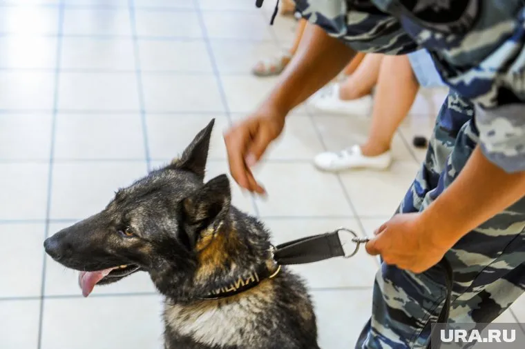 Ребенка ищут полиция и волонтеры