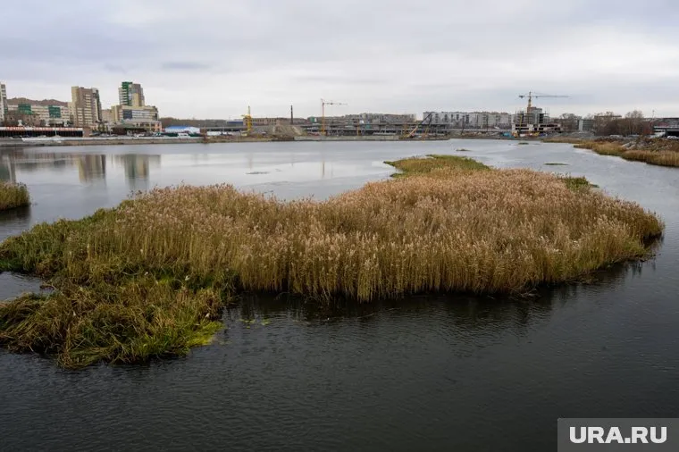 В ЧМК предложили направить штраф на экологические проекты