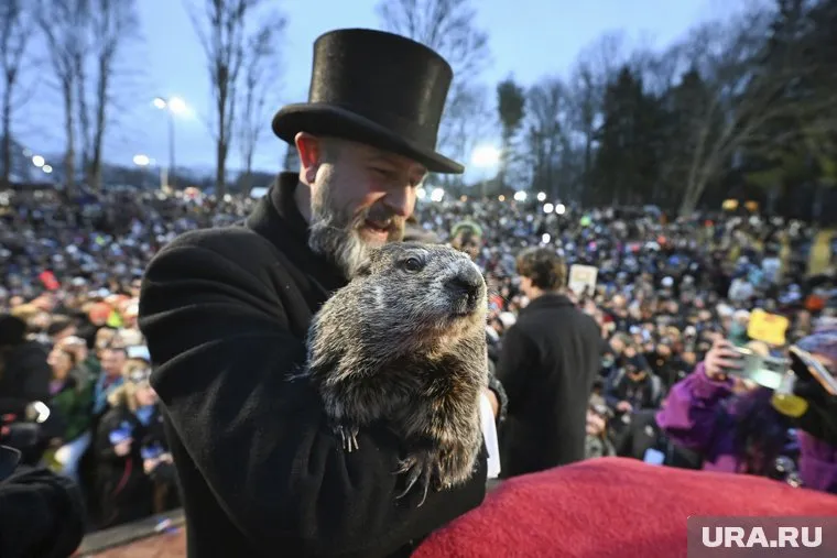 Сурков называют настоящими лесными синоптиками