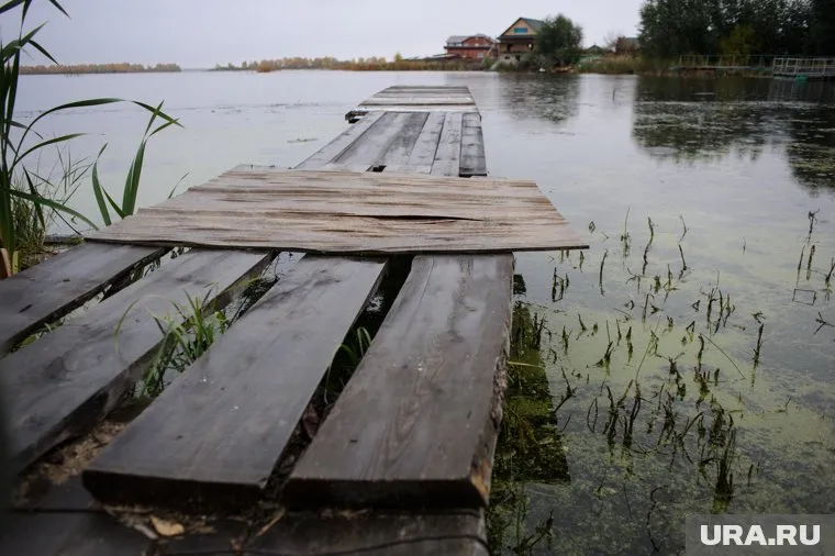 Больше половины россиян уверены в безопасности путешествий на дачу