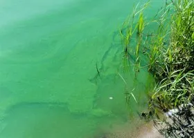 Туалетный запах питьевой воды в Нижнем Тагиле стал невыносим