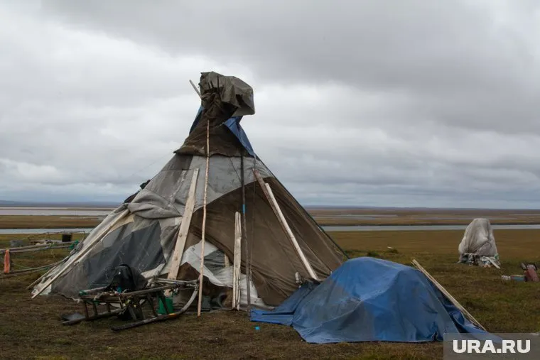Семьи, живущие в чуме, пока не могут усыновлять детей