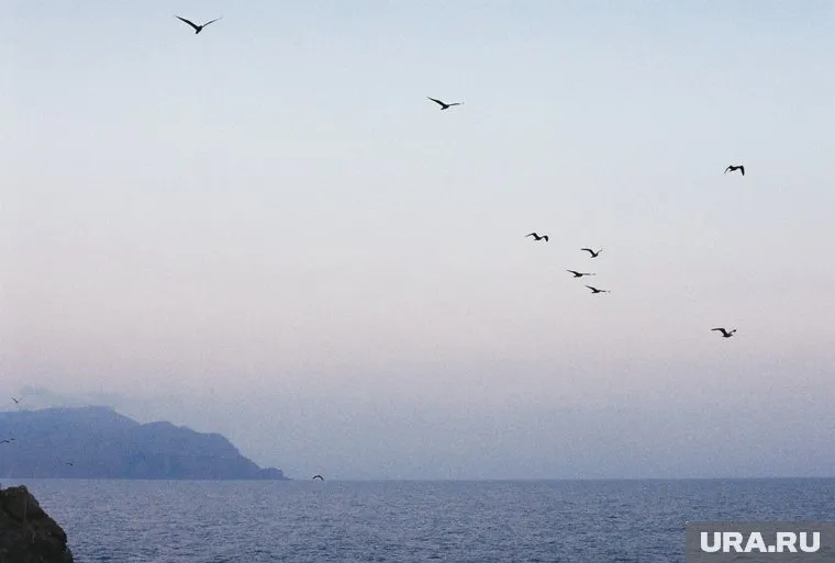 До ближайшего пляжа от пансионата надо пройти 400 метров