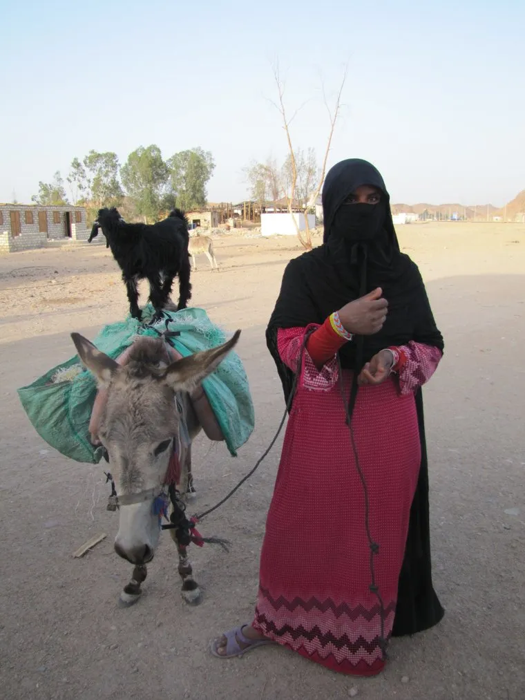 Египет, отдых туристов, хиджаб, попрошайки, ослик
