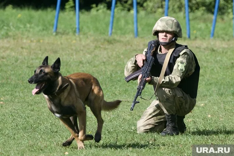 Росгвардейцы передали видеопривет школьникам из Салехарда