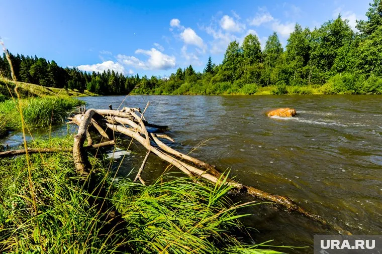 Природную зону планируют сформировать на территории существующих угодий