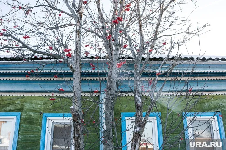 Дом можно присвоить, если у его прежнего владельца нет наследников