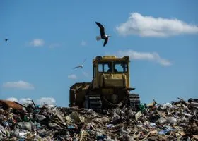 Фотография из галереи