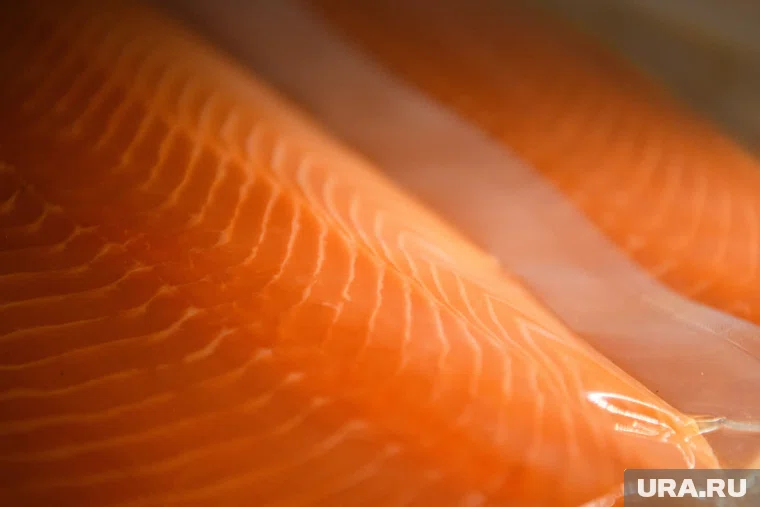 Морской рацион, поможет укрепить иммунитет в холода, сообщили эксперты