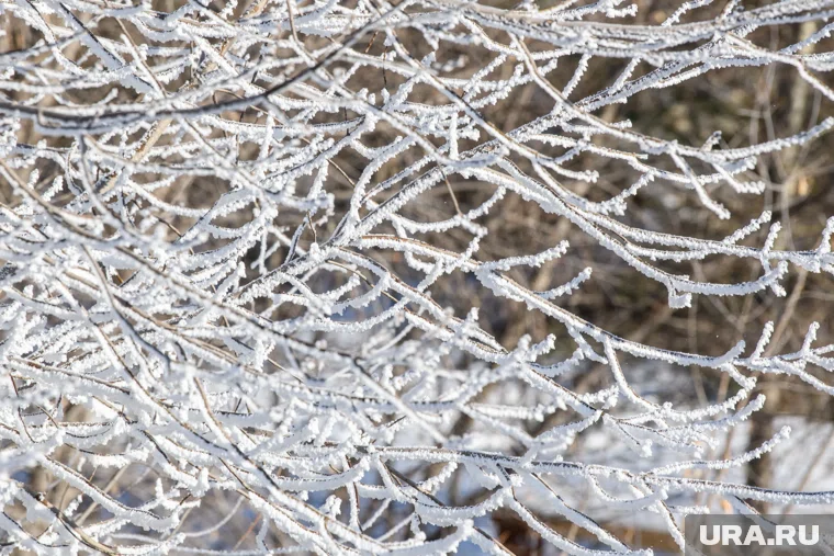 В народном календаре тридцатое ноября известно как Григорий Зимоуказатель или Предзимье