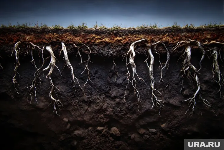 В Черноземье, Южном и Северном Кавказе в конце лета выпадет меньше нормы осадков