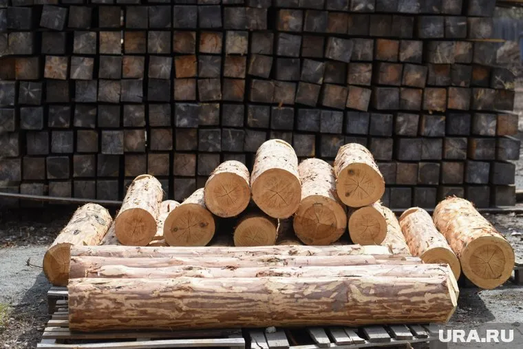 объект культурного наследия предлагают купить в виде отдельных кирпичей и бревен разной длины