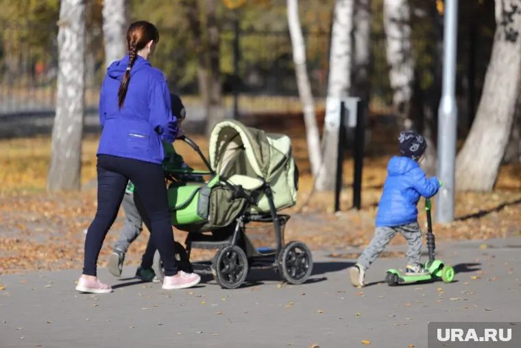 После жалобы Путину жительнице Кургана одобрили выплаты пособия