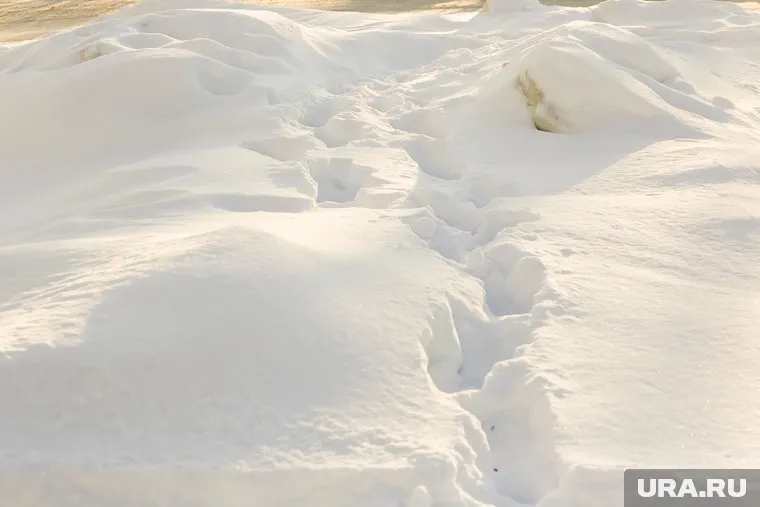 Автоинспекторы заметили условия, сопутствующие ДТП на месте происшествия