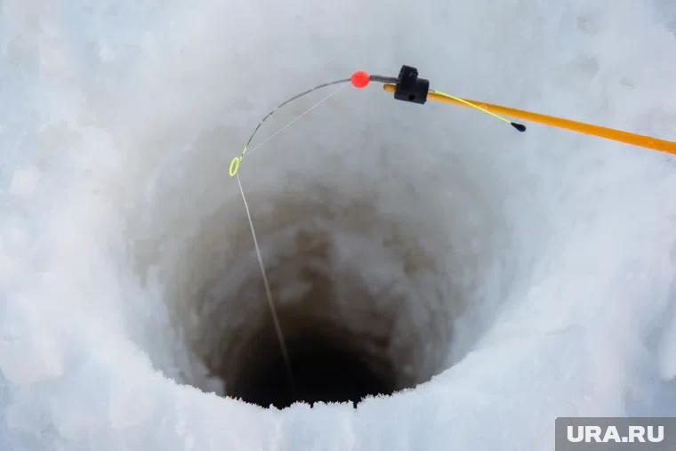 Ондатру девушка достала из лунки во льду